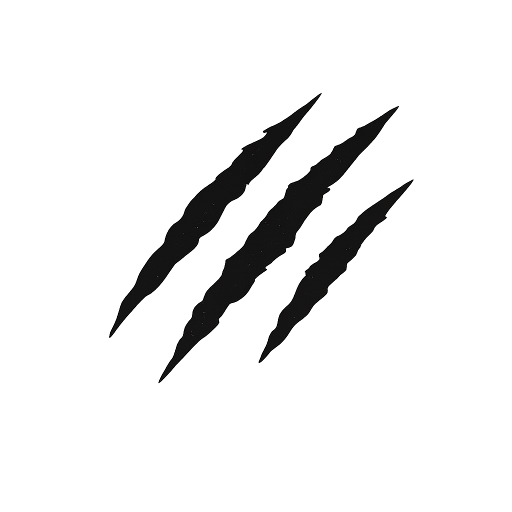 Stickers and accessories